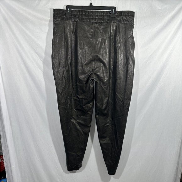 NEW $168 Spanx [ PLUS 2X ] Faux Leather Jogger Pants‎ in Black - Picture 11 of 14